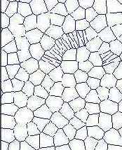    Tessellation